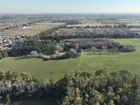 31 Has. Campo en Zona Polera, General Rodriguez