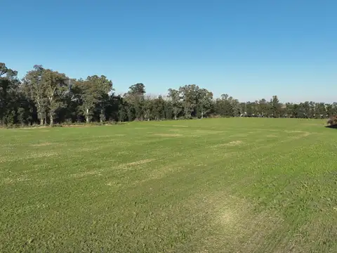 Campo en Venta con Alambrado