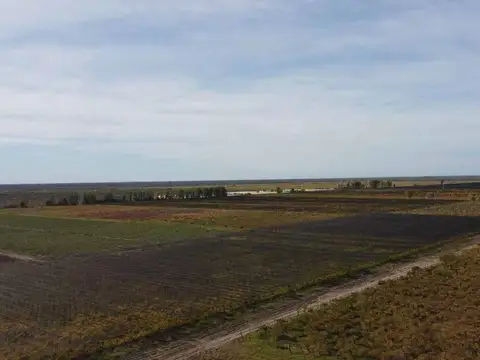 Venta Finca cultivada El divisadero Santa Rosa