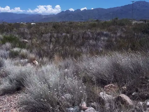 Terreno en Venta de 2127,91 m2