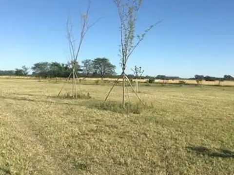 Campo en Venta de 8  ha