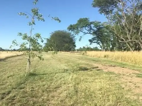 Campo en Venta de 8  ha