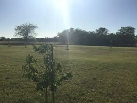 VENTA DE HERMOSO CAMPO DE 8 HECTÁREAS