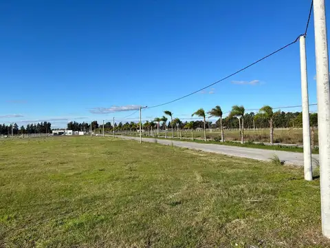 VENTA LOTE BARRIO ABIERTO PRADERAS DE CARDALES - CARDALES