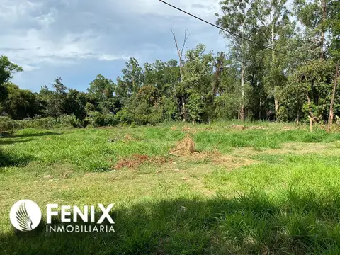 Terreno en Venta 20  mts Frente