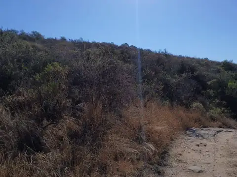 Terreno en Venta de 25000,0 m2