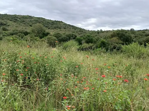 Terreno en Venta de 25000,0 m2