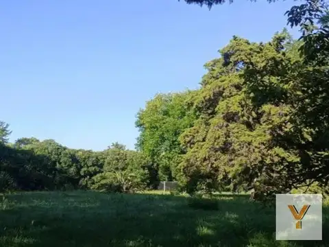 Terreno en Venta 52  mts Fondo
