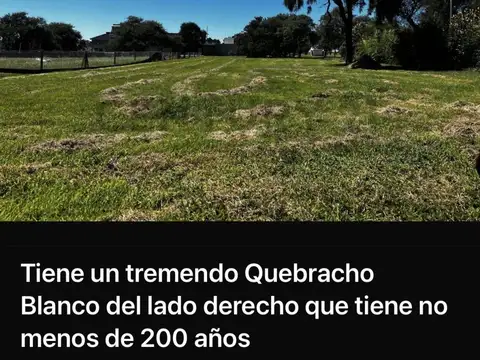 Terreno en Venta 20  mts Frente