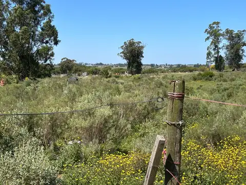 VENTA DE TERRENO SAN CARLOS MALDONADO