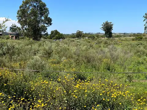 Ruta 39