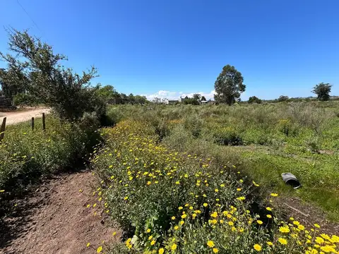 Terreno en Venta de 10000,0 m2