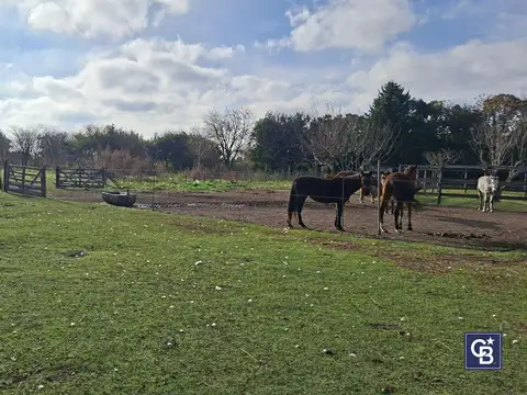 Venta de Chacra de 18.000 m² con Dos Casas | Apto Crédito en Colonia Suiza, Baradero