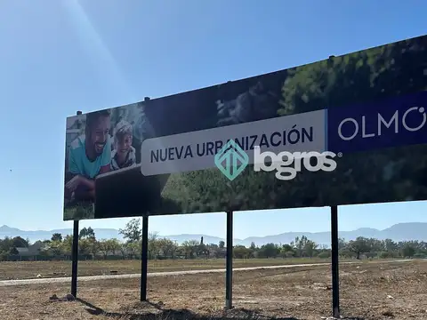Olmos Ur 100