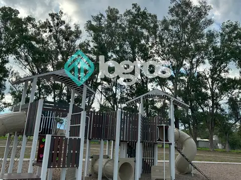 Olmos Ur 100