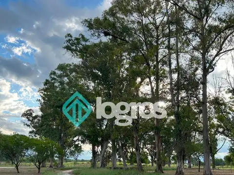 Terreno en Venta 30  mts Fondo