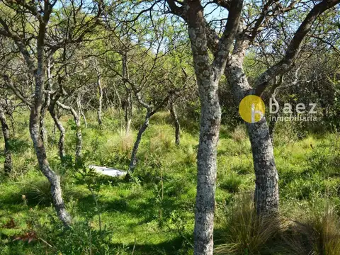 Terreno en Venta de 1035,0 m2