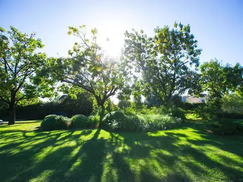 Terreno en Venta de 889,0 m2
