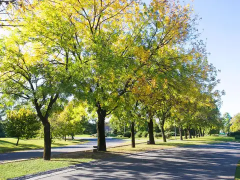 Terreno en Venta de 889,0 m2
