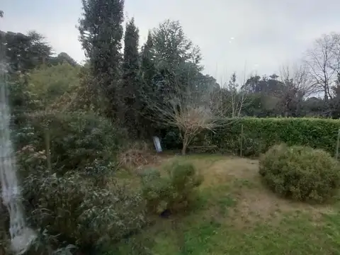 Hugo 281