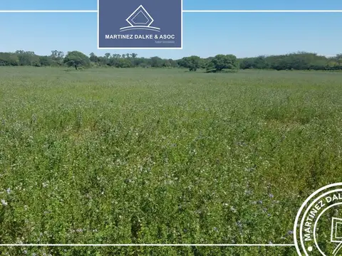 ESTANCIA JESUITICA SANTA CATALINA - Campo de 125 Has con rio