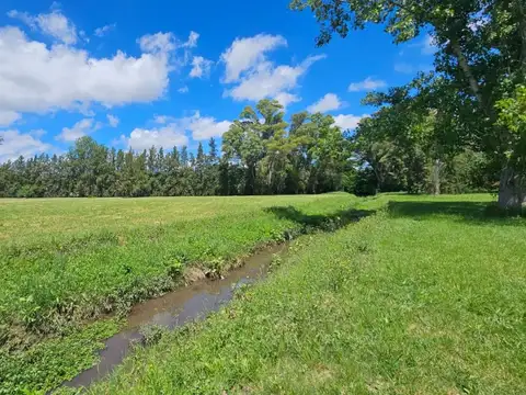 Terreno en Venta de 50096,0 m2