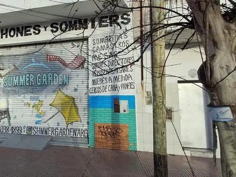 Local  en Venta en Virreyes, San Fernando, G.B.A. Zona Norte