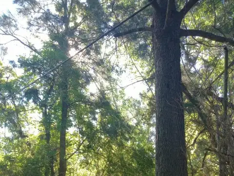 Terreno en Venta en Ensenada, USD 250.000