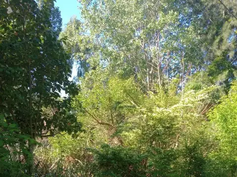 Terreno en Venta de 2140,0 m2