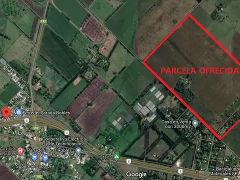 Exaltación de la cruz