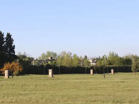 Calle Carola Lorenzini 4600