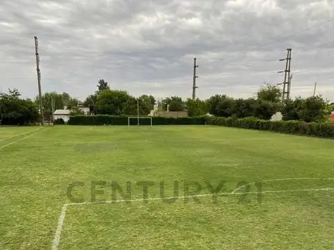 35 y 145 - Canchas de Fútbol 9 en Alquiler - La Plata