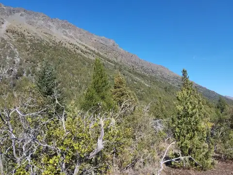 (066)LAGO PUELO, Bo. Las Golondinas, CAMPO de 14,97 has.