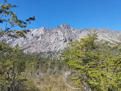 Cjon. Los Mallines