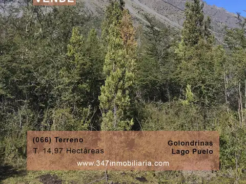 (066)LAGO PUELO, Bo. Las Golondinas, CAMPO de 14,97 has.