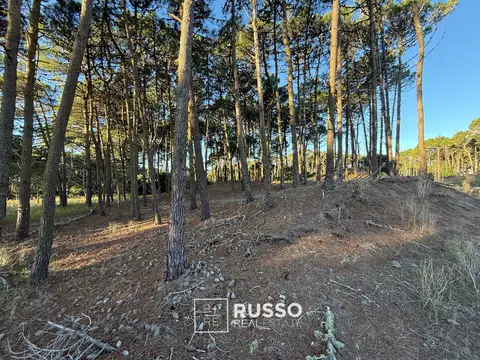 LOTE EN VENTA -  BOSQUES BARRIO TAMARISCO PINAMAR