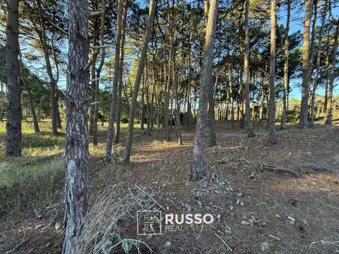 LOTE EN VENTA -  BOSQUES BARRIO TAMARISCO PINAMAR