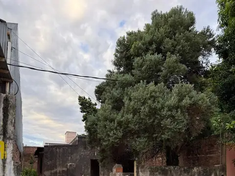 Tartagal. 13 de Diciembre 300
