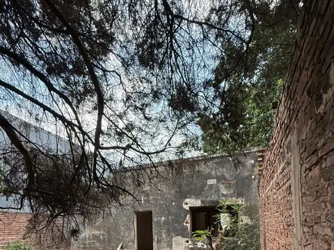 Tartagal. 13 de Diciembre 300