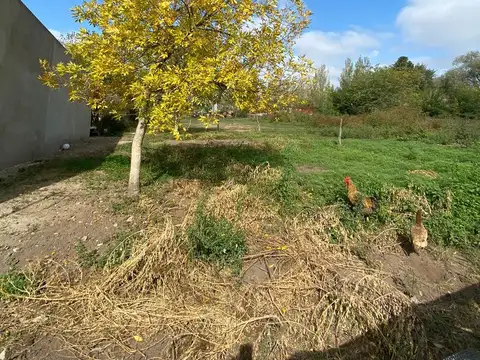 Terreno en Venta de 450,0 m2