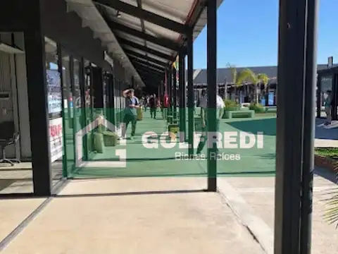 Pedro Guareschi 100