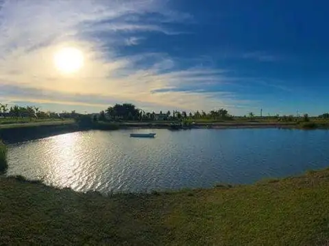 Campos De La Enriqueta
