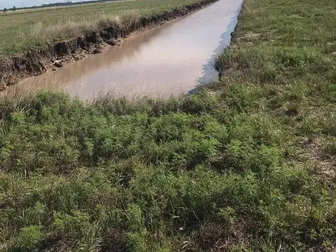 Campos De La Enriqueta
