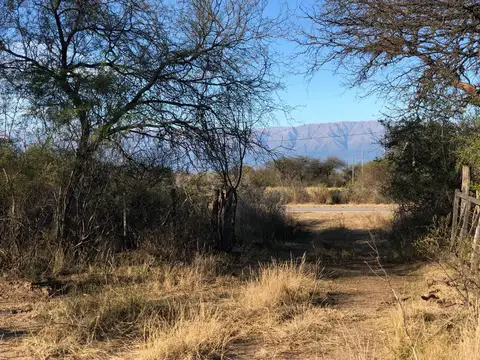 Venta Campo 161 Ha en Santa Rosa del Conlara