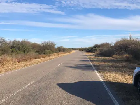 Campo en Venta de 161  ha