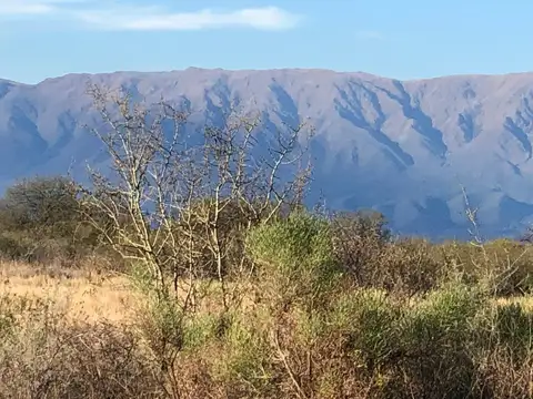 Ruta 23