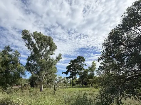 Terreno en Venta 48  mts Fondo