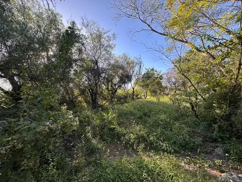 Terreno en Venta de 15000,0 m2