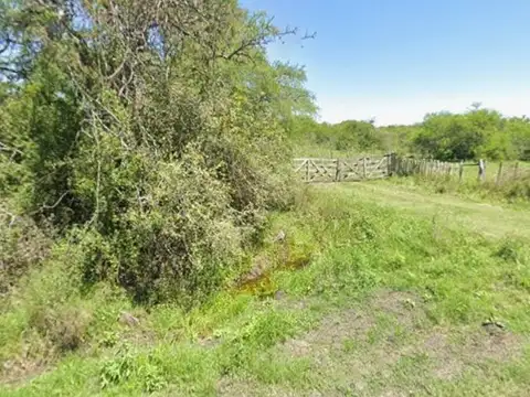 Campo en venta Sauce Luna, Federal, Entre ríos 535 hectáreas