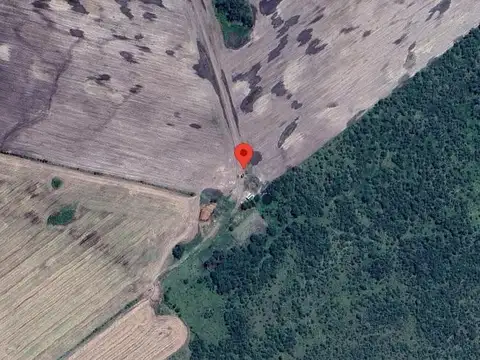 Campo en venta Sauce Luna, Federal, Entre ríos 535 hectáreas